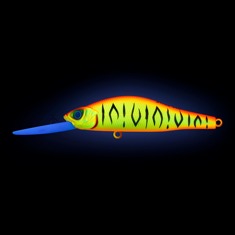 535726_1