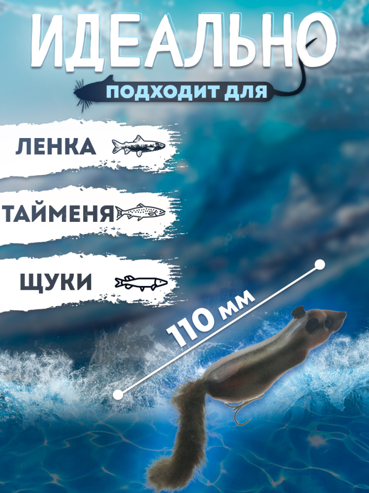 144481_1