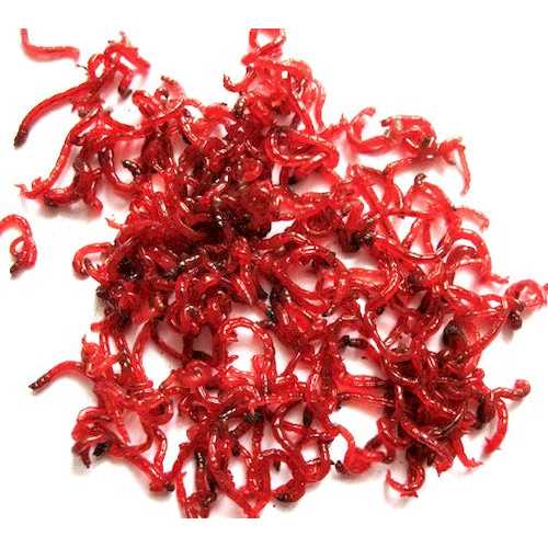 F  проба картинок 10003_main_1