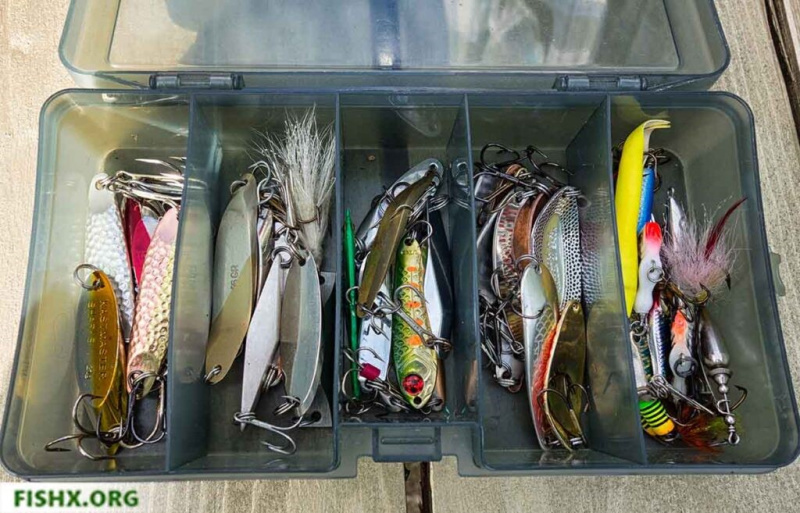 Топ-10 блесен для начинающих рыбаков