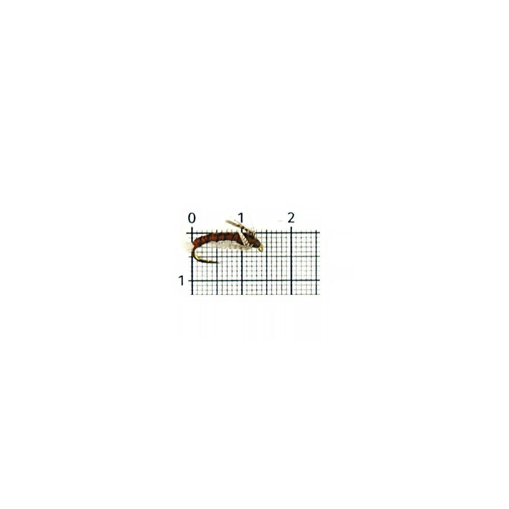 129725_1