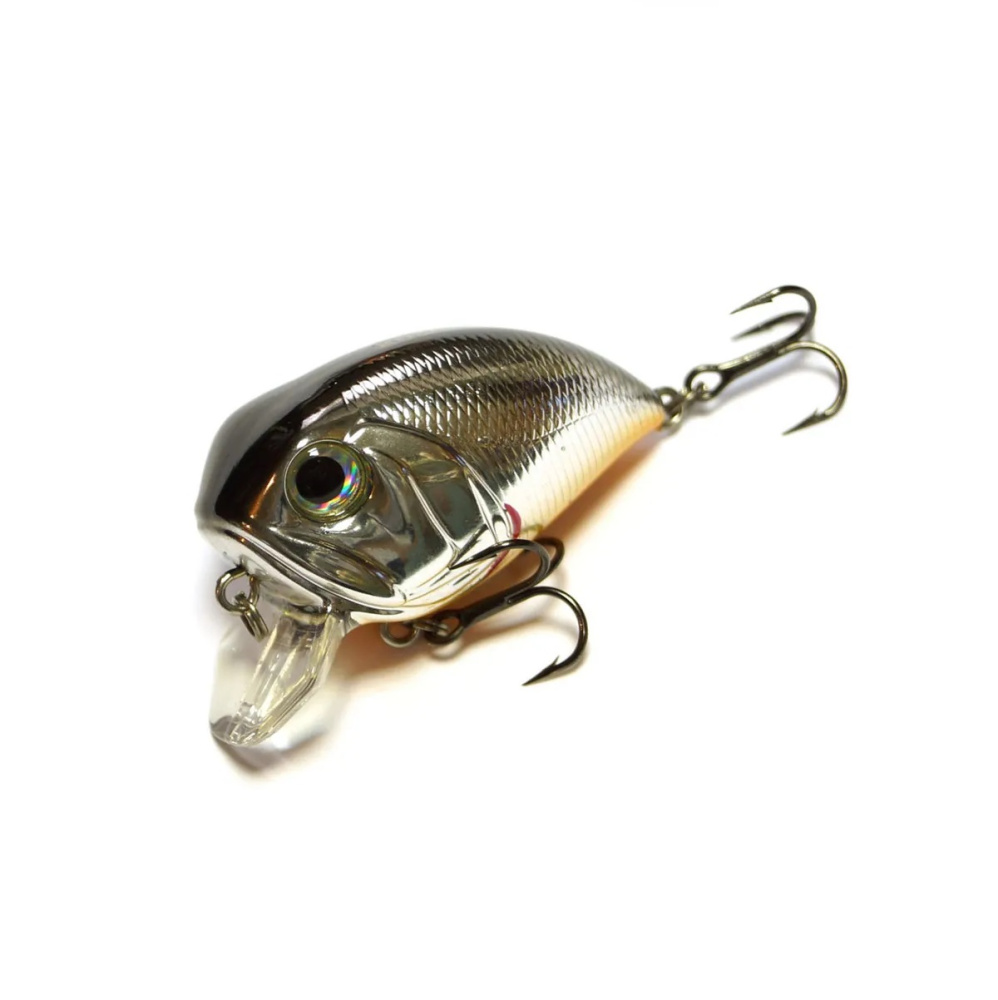 7082523311 7082523311