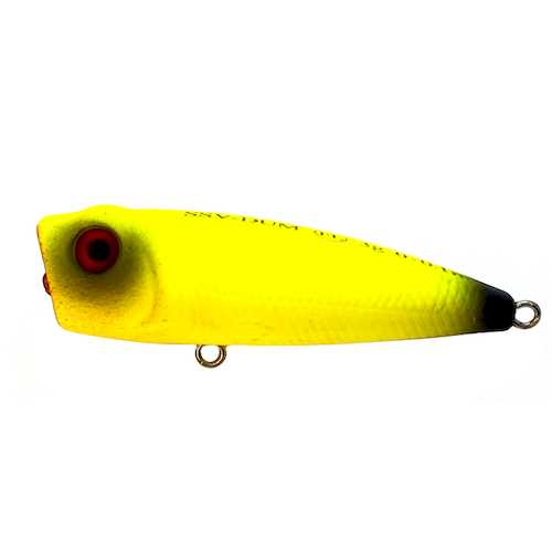 970533_1