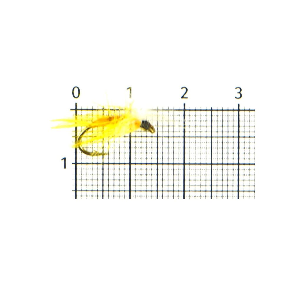 129743_1