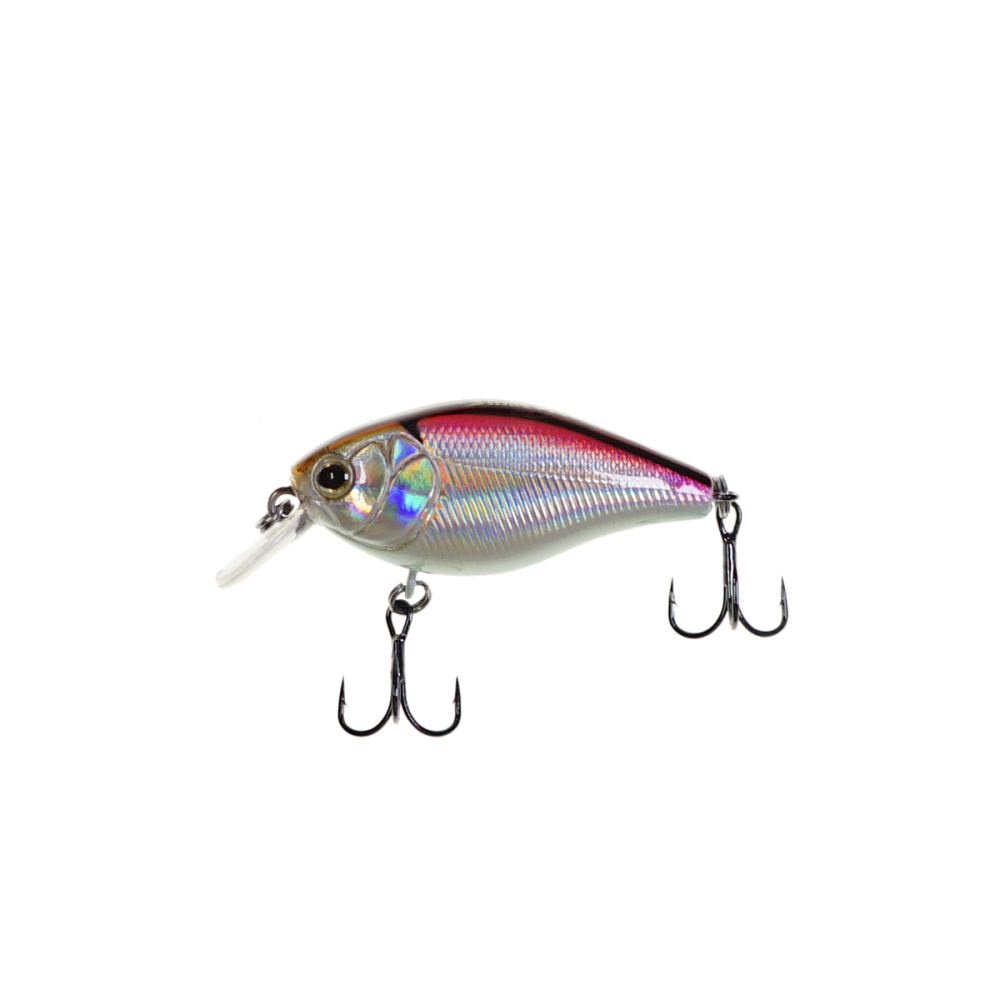 C  Users maria2 Desktop Загрузить 5338771_1