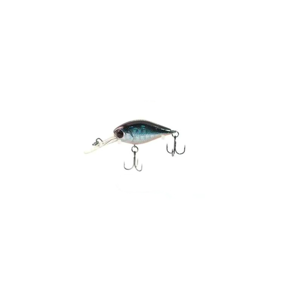 174005_1