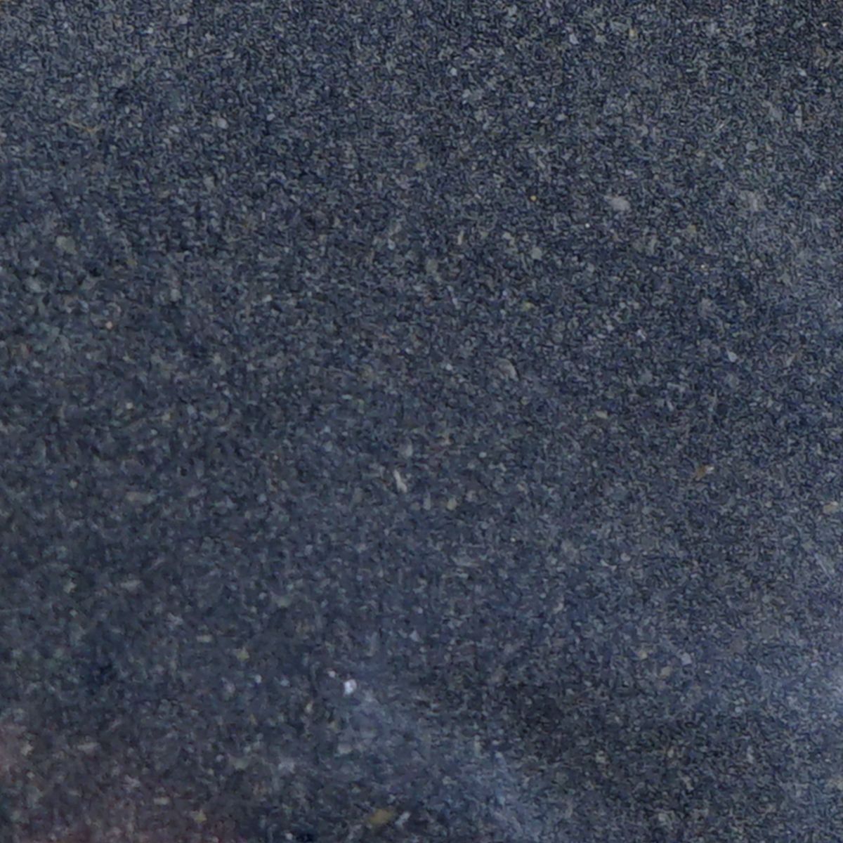 Детальная фотография — Прикормка Minenko Pro Sport 1000гр Black Плотва