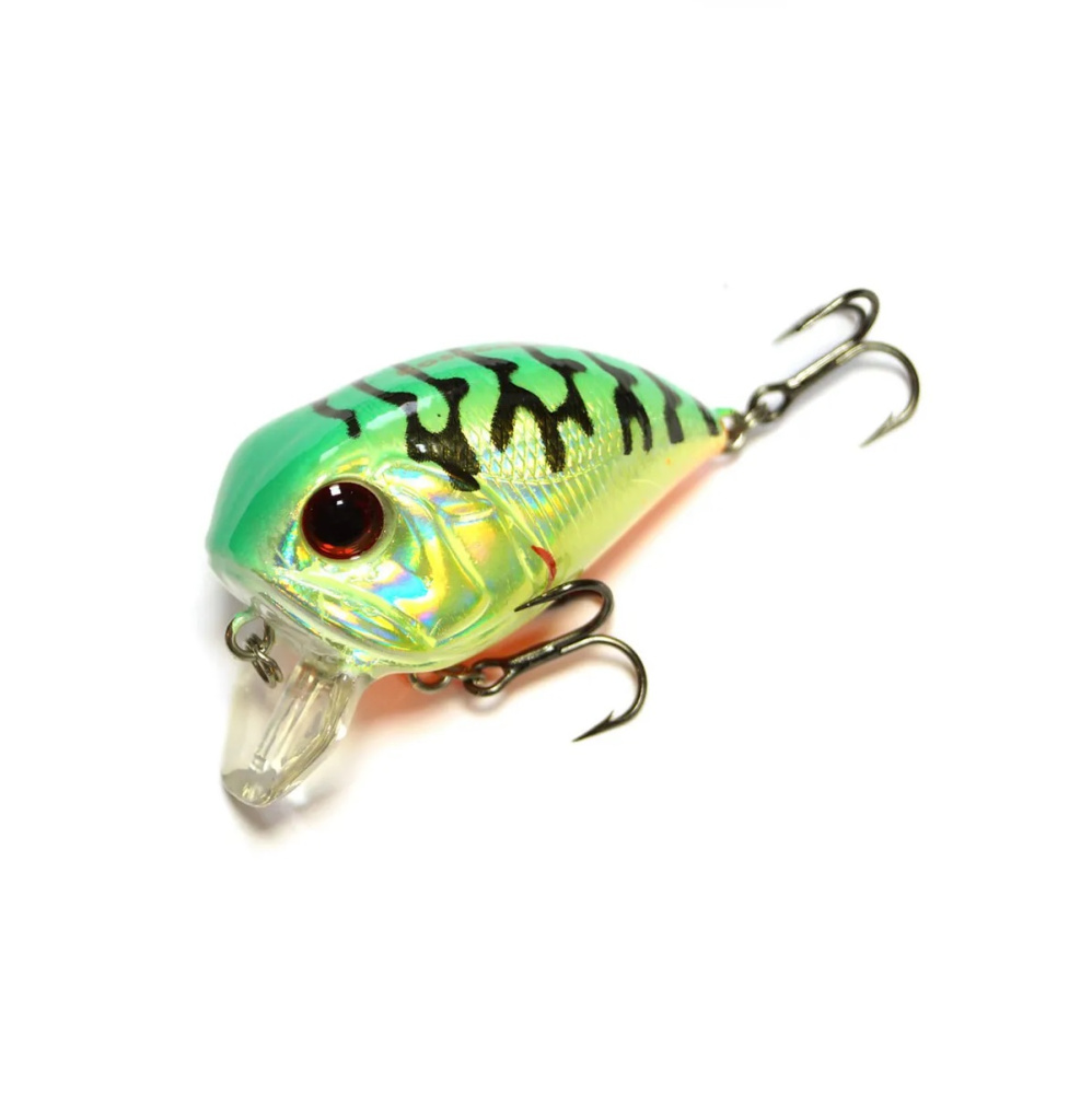 7082523311 7082523311