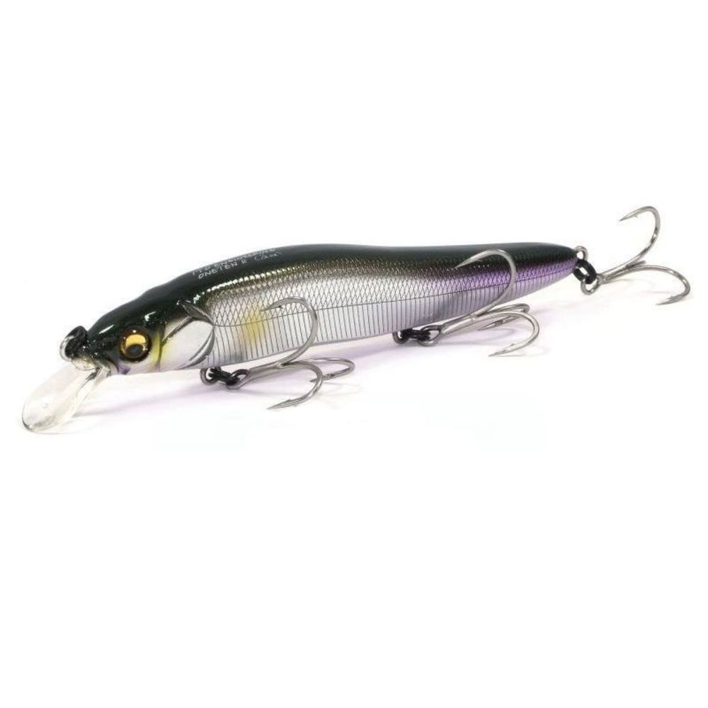 al_biwako_ayu_ejci-p0