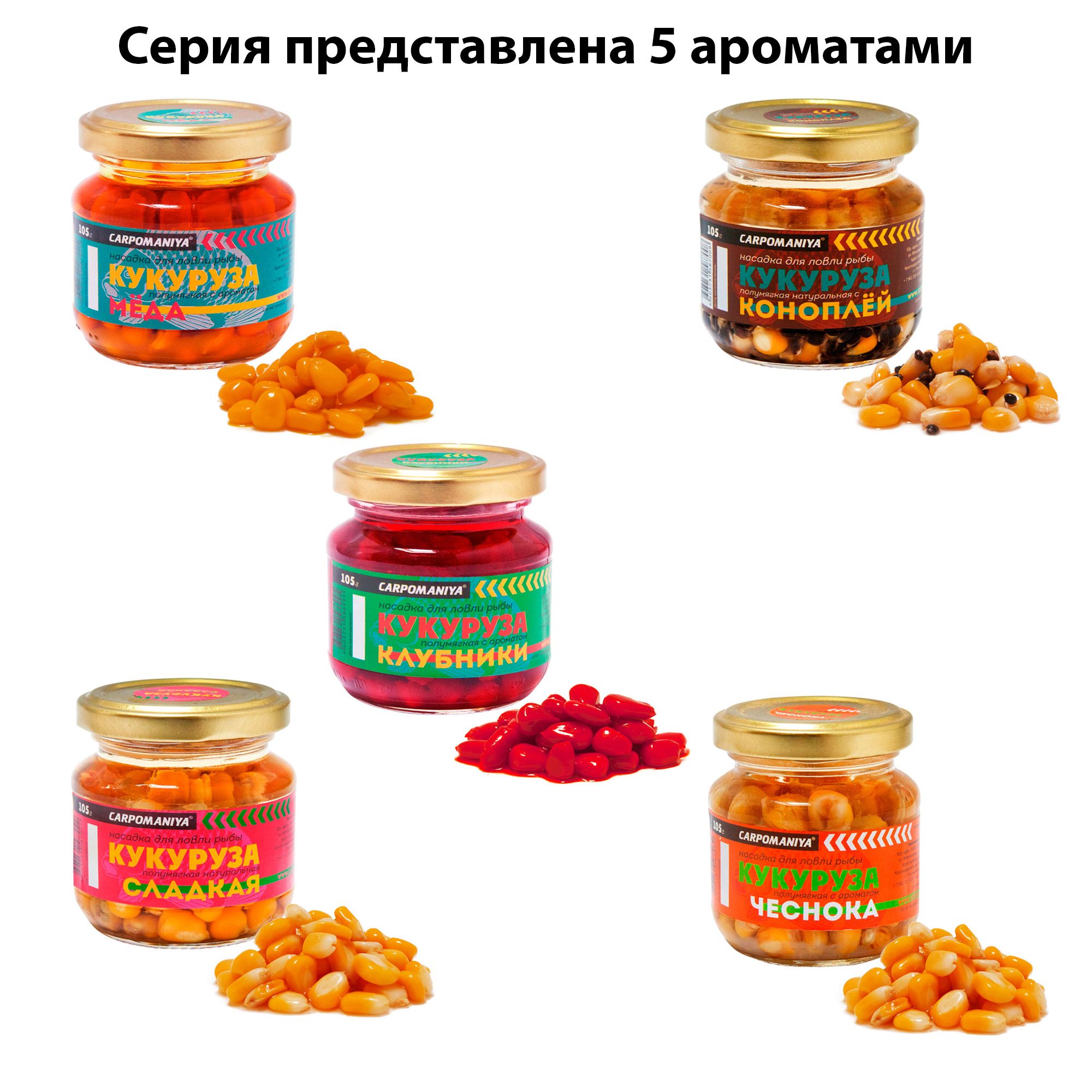 185504_3