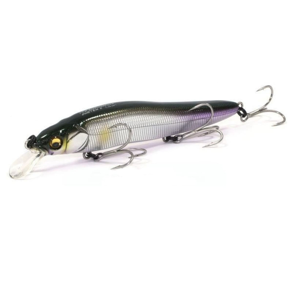 al_biwako_ayu_ejci-p0