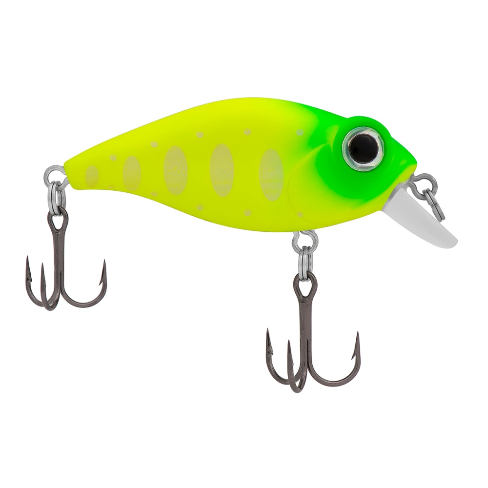 955750_main_1