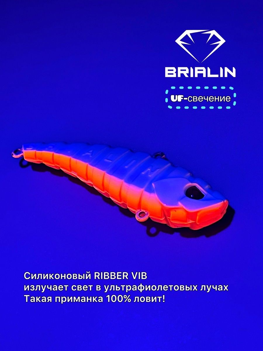 Xm2s_voSflA