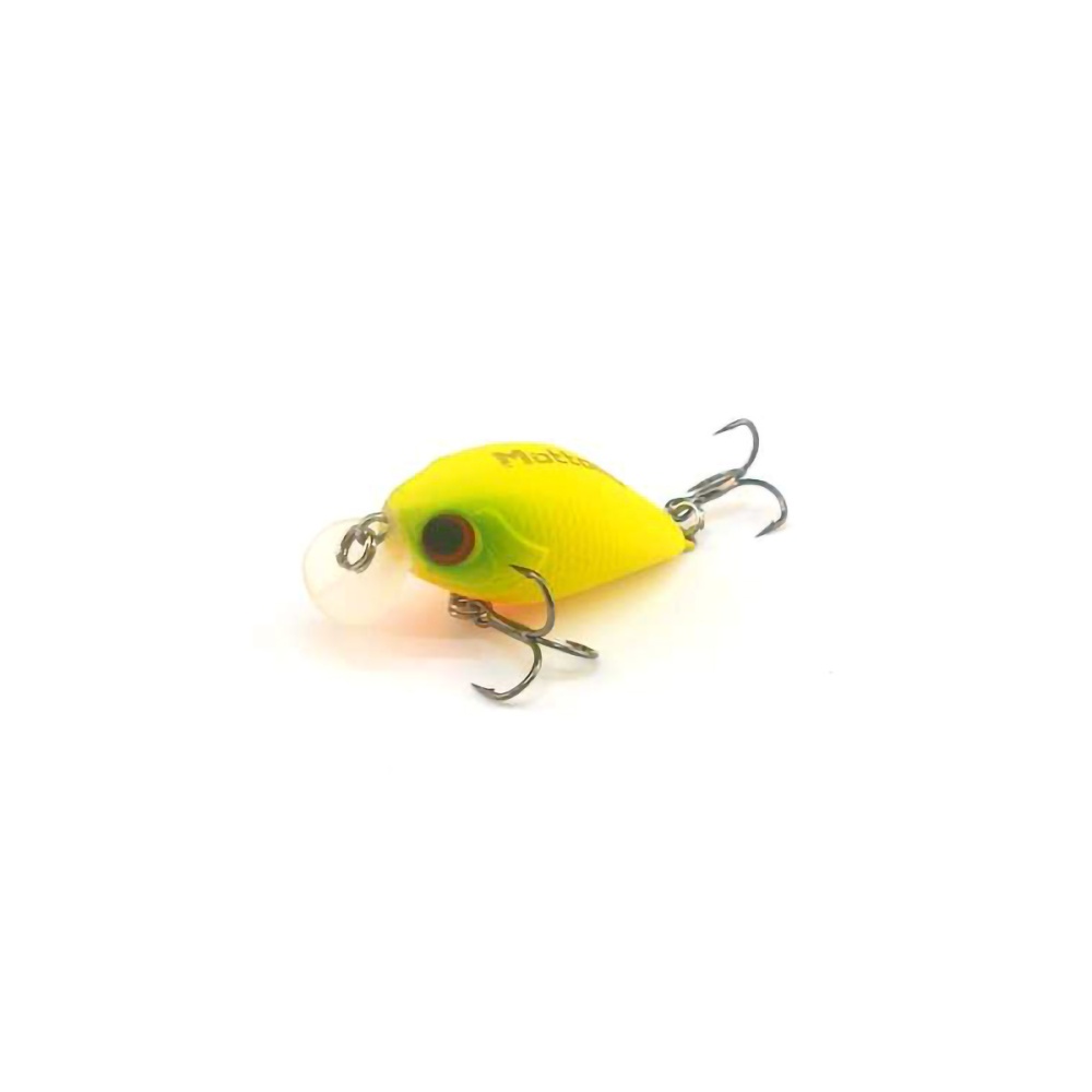 173572_1