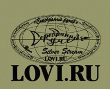 Футболки Silver Stream