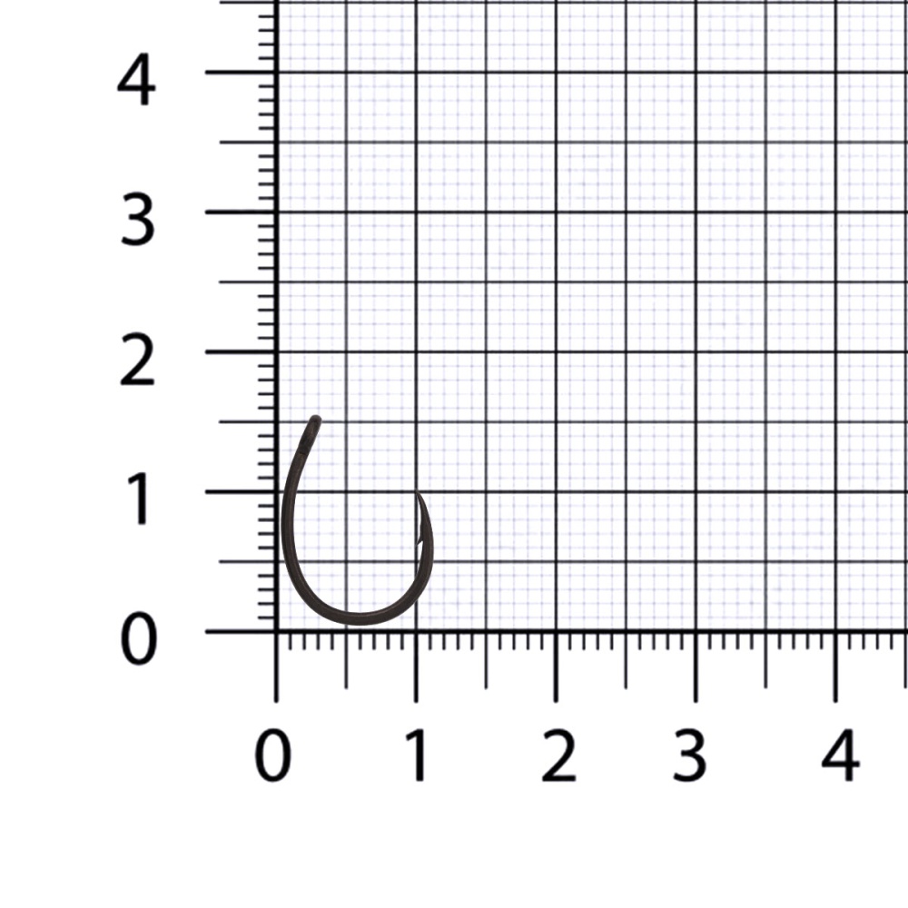 №6