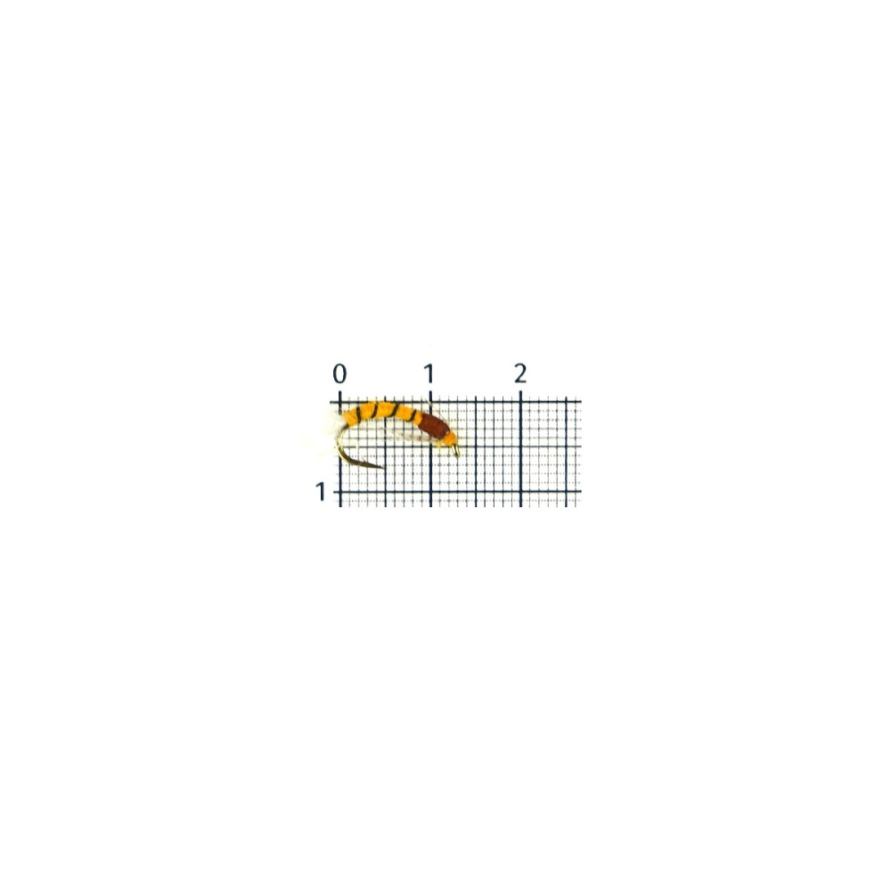 129727_1