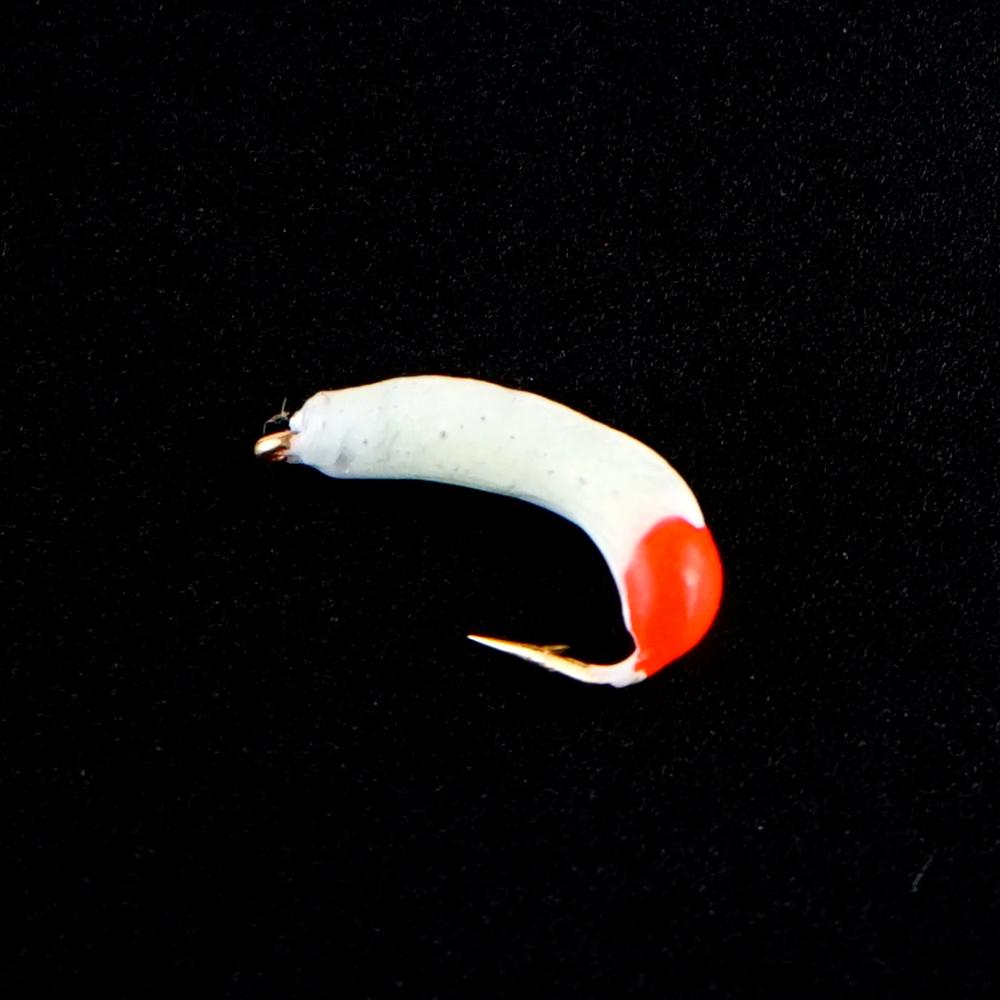 DSC03798 DSC03798
