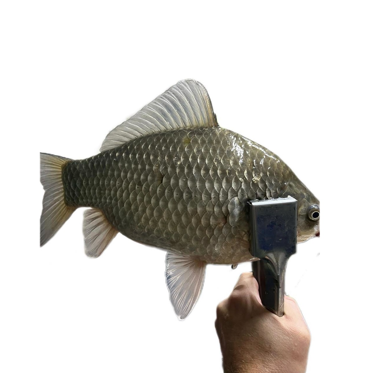 euo7a6kqy92q7pj3cp6fbu9ua9hphlx0