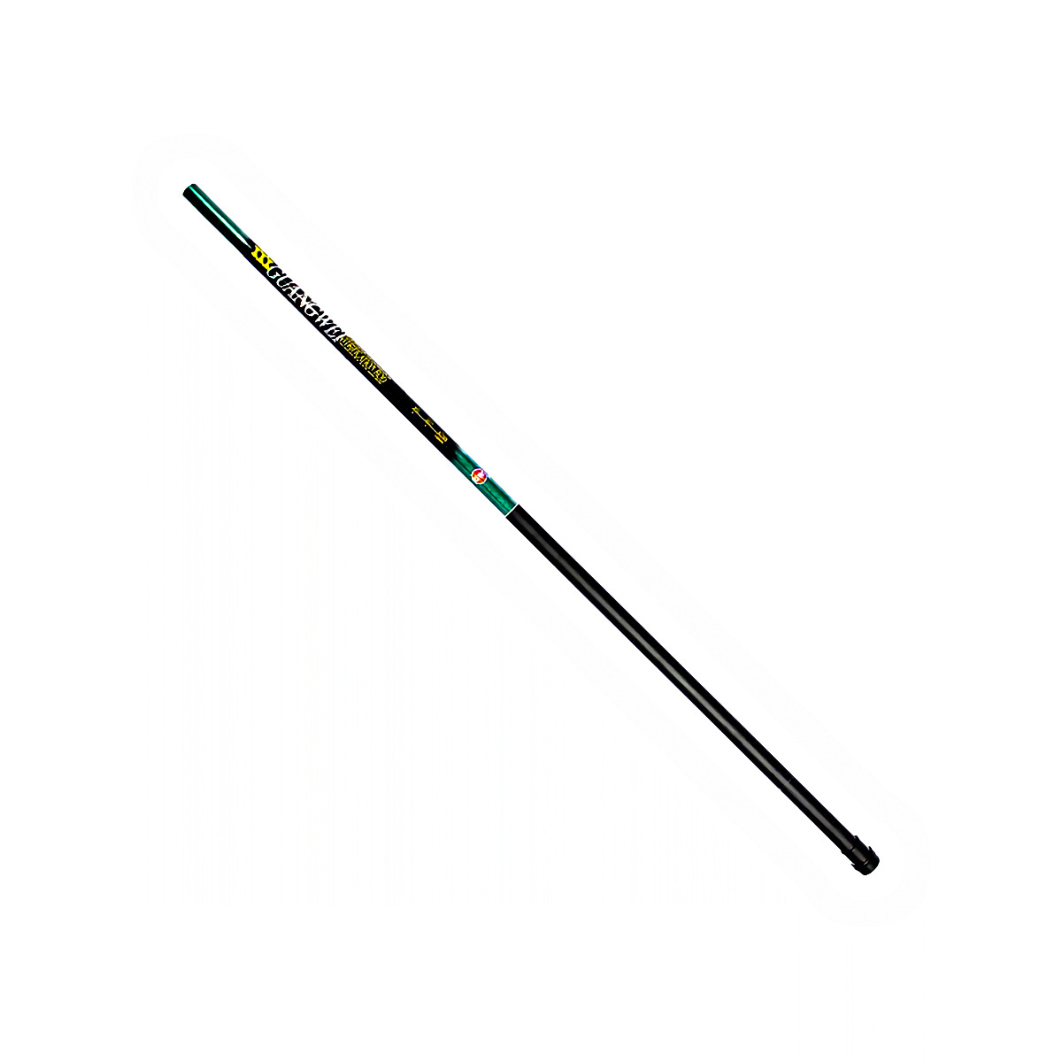 294906_2