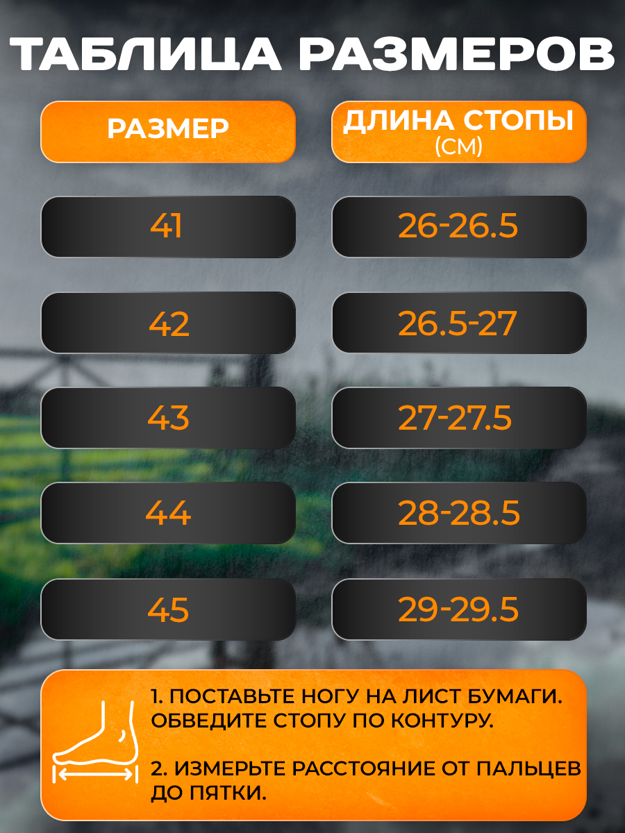 563423_4