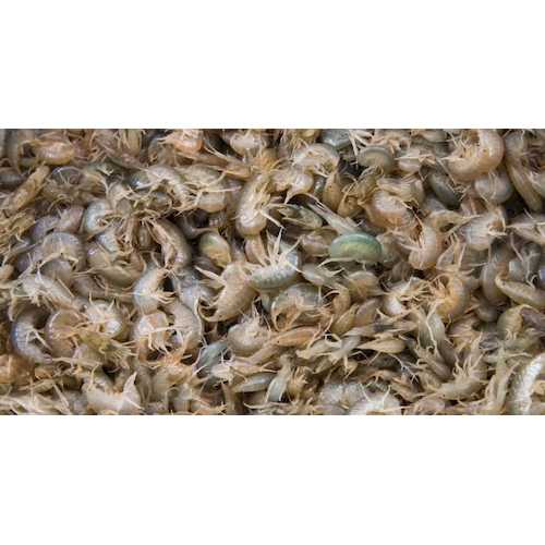 F  проба картинок 10004_main_1