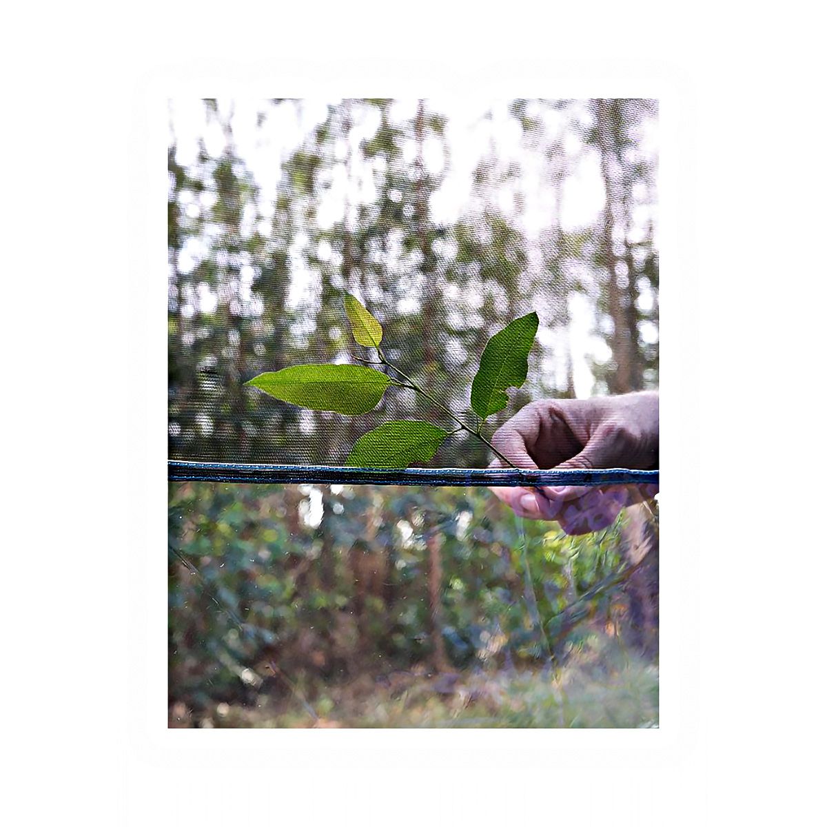 520117_5