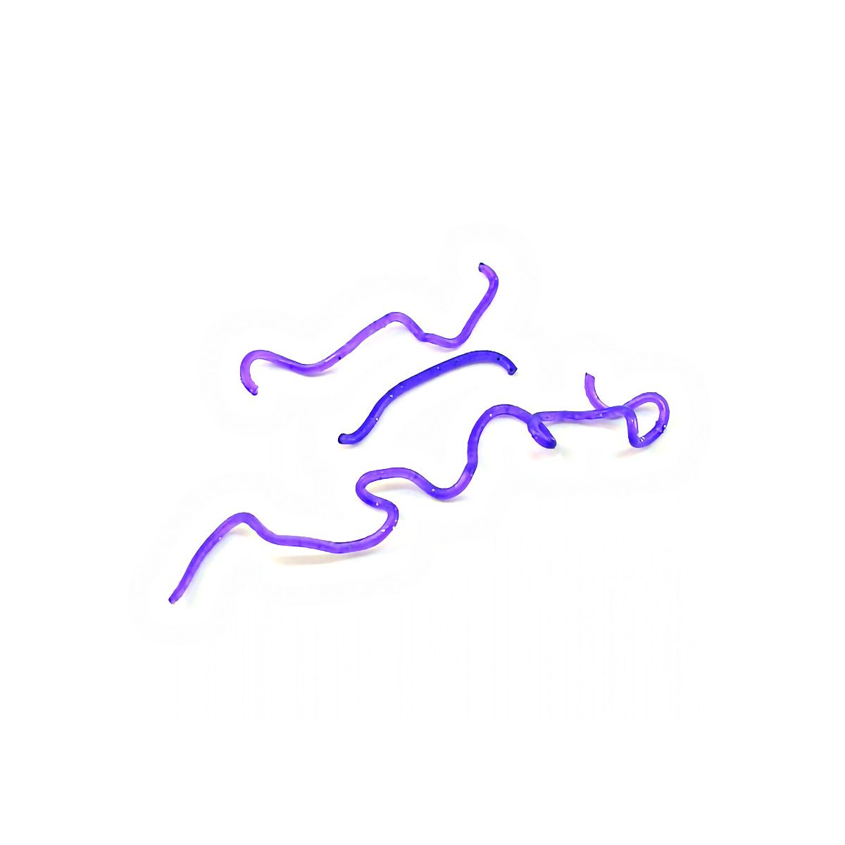 191502_2