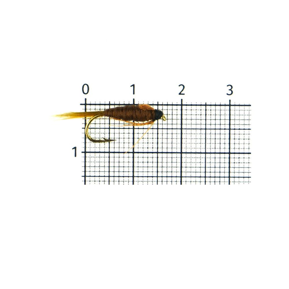 129741_1