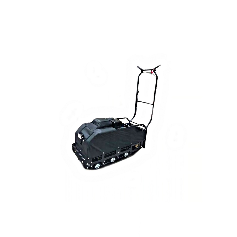 494096_1