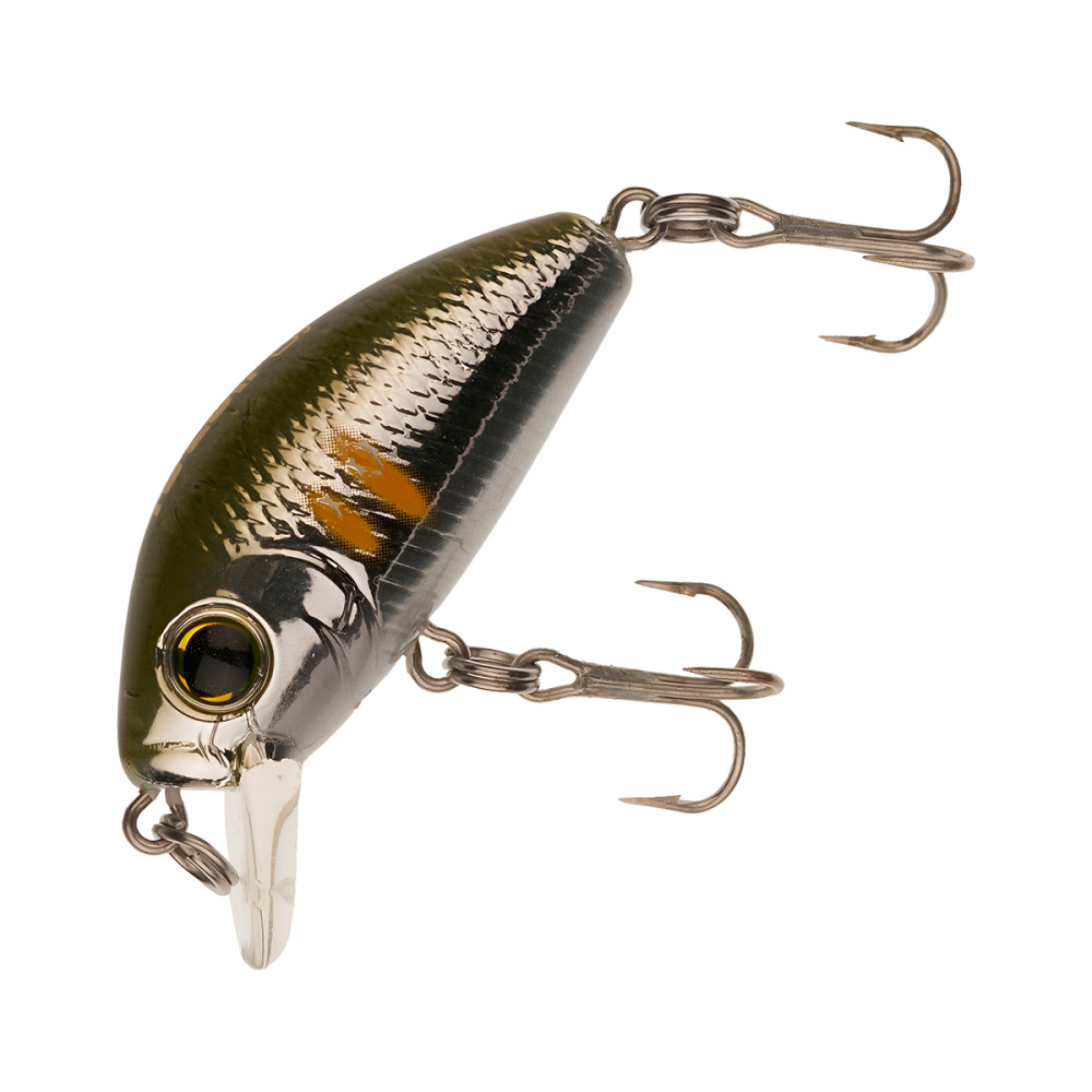 540526_main_1 540526_main_1