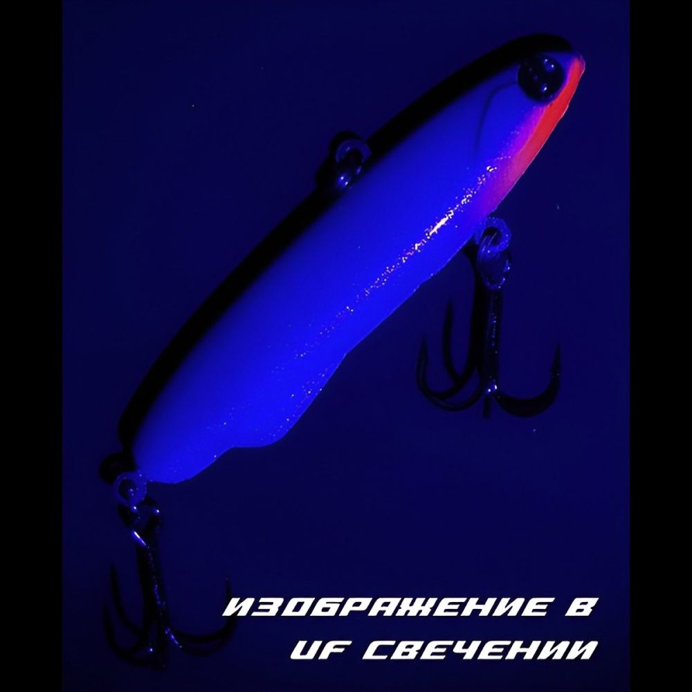545064_1