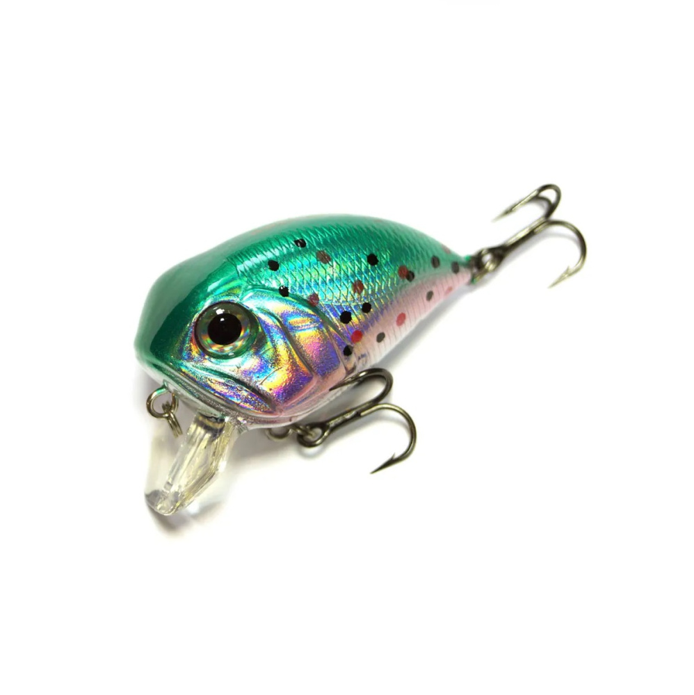 7082523311 7082523311