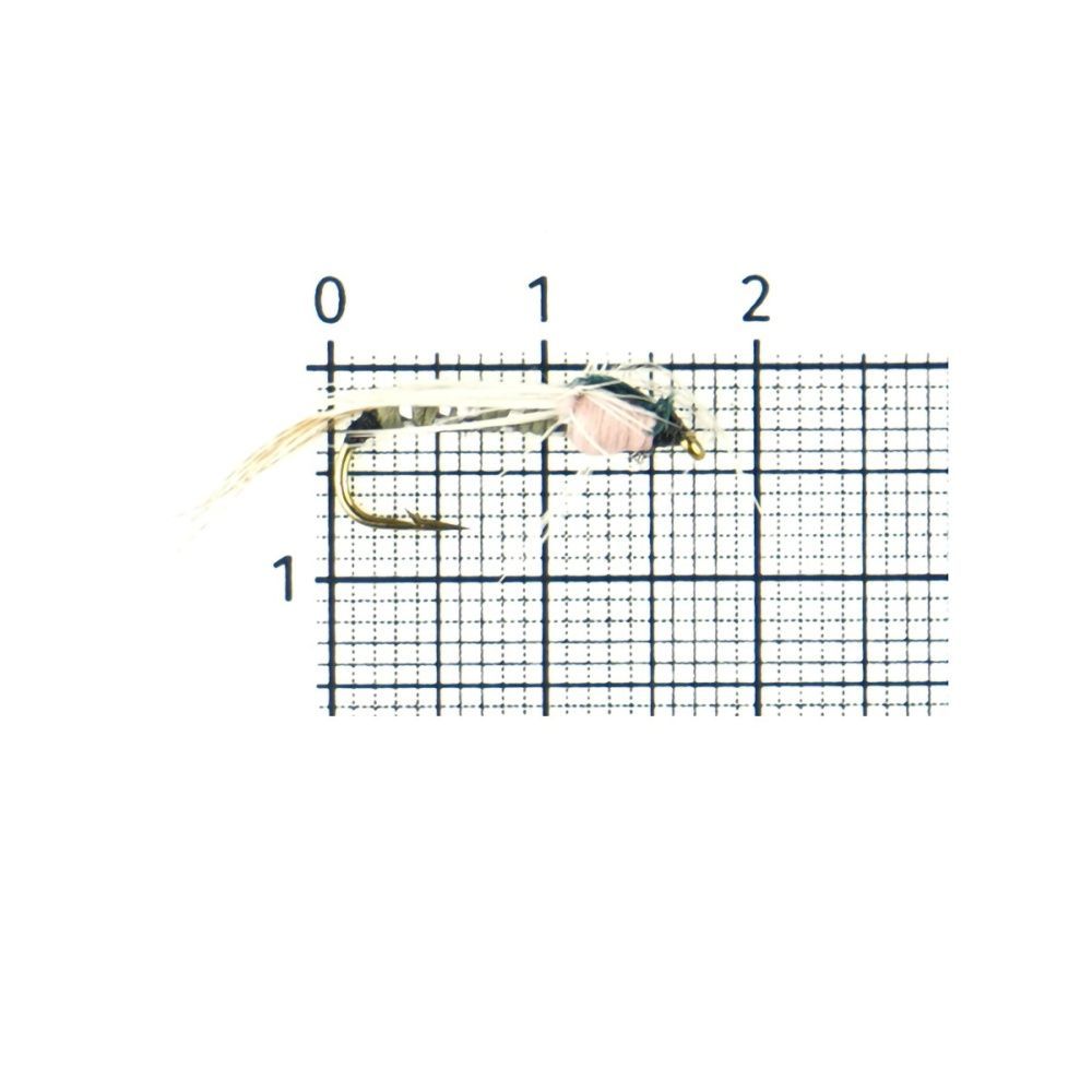 129729_1