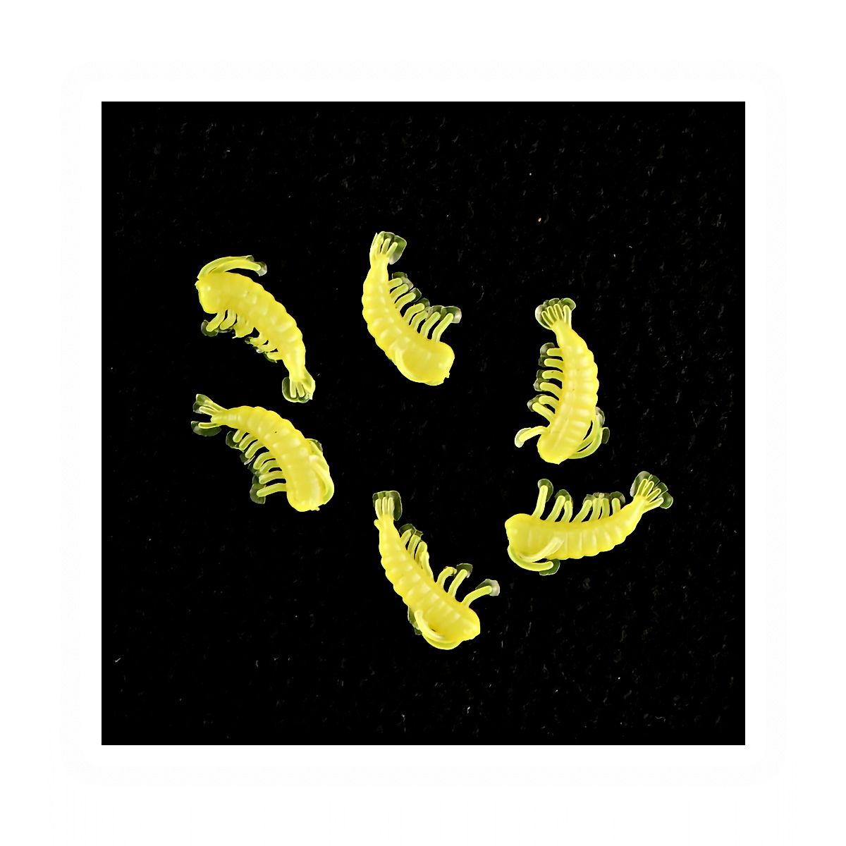 147297_1 147297_1