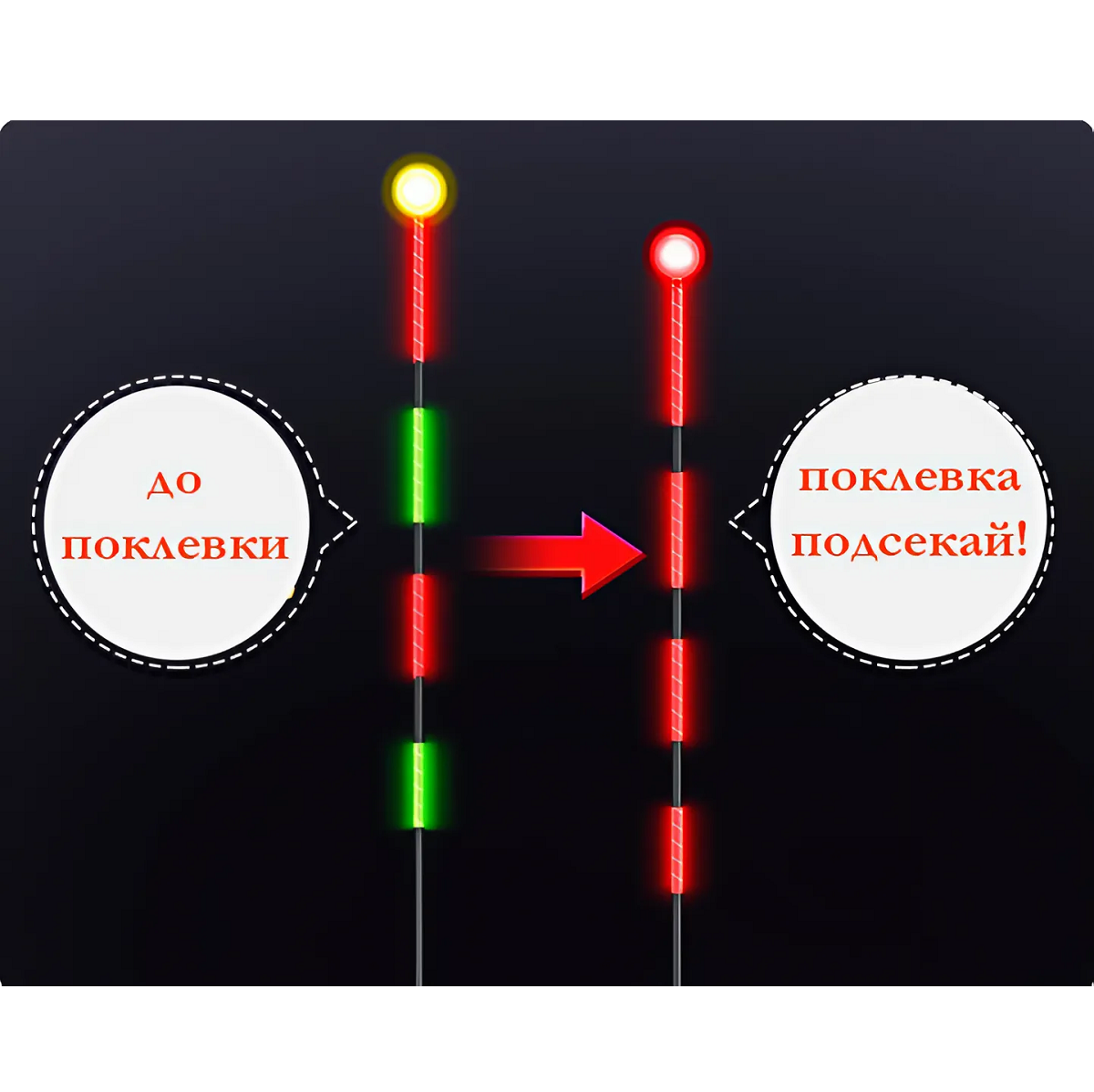 snapedit_1744076105901