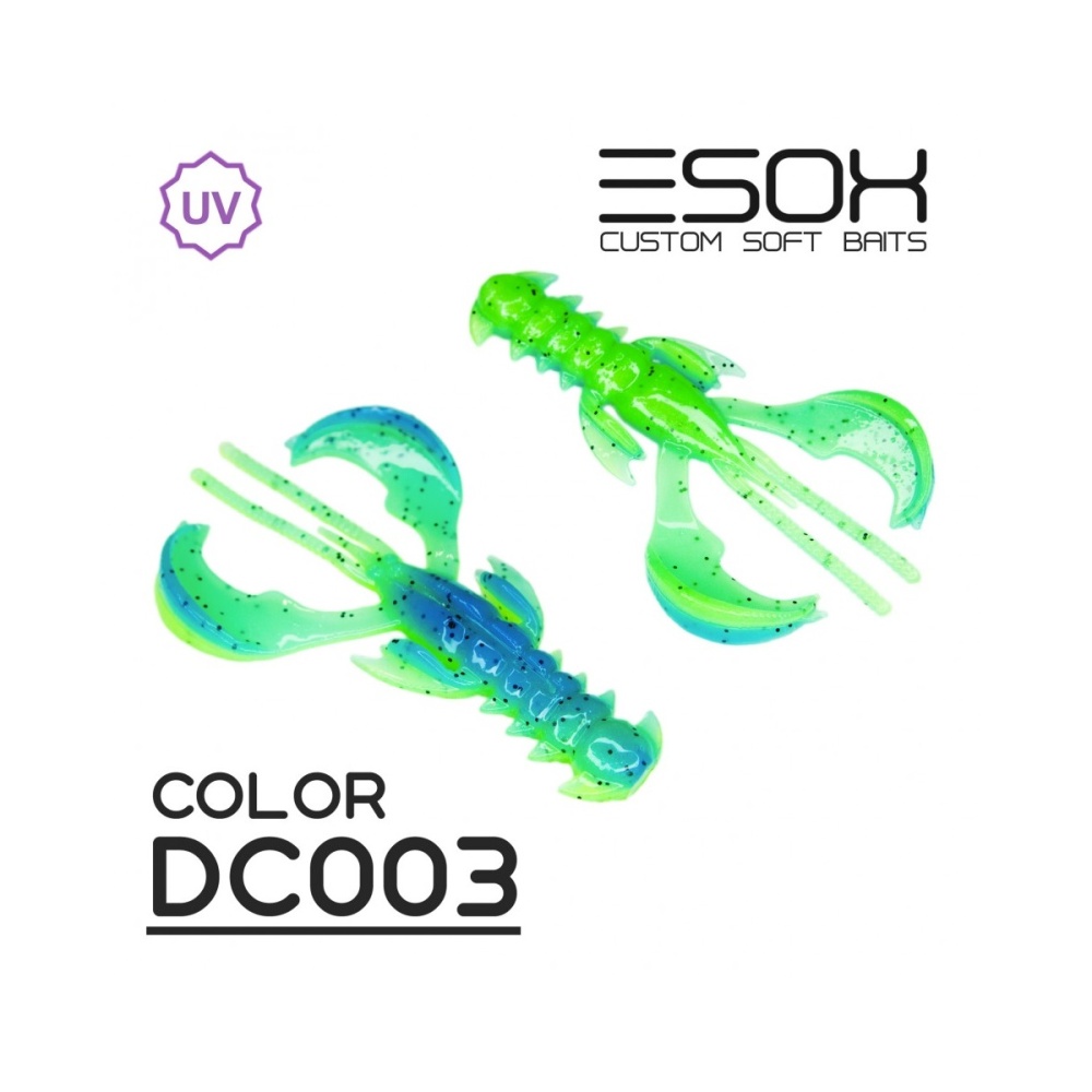 255423_1