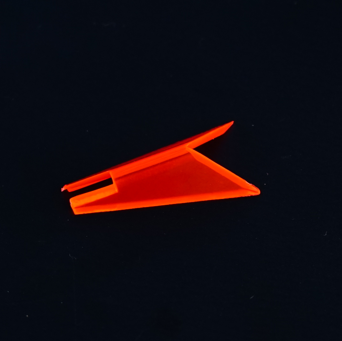 DSC05419