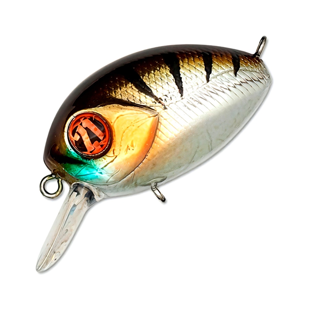 982873_main_1