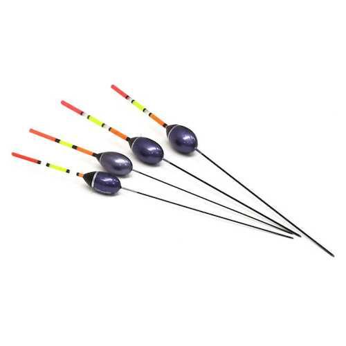 244590_1