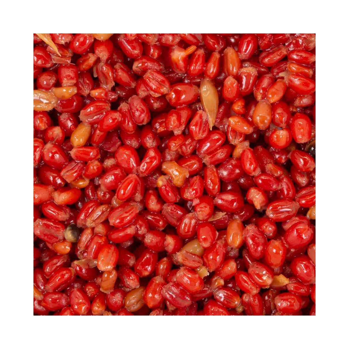 Детальная фотография — Прикормка Minenko Red Strawberry Wheat PMbaits 1000гр зерновая (4005)