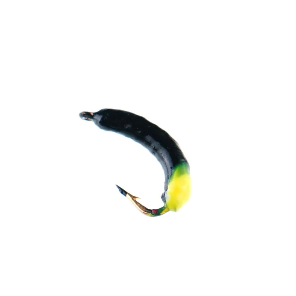 DSC03766