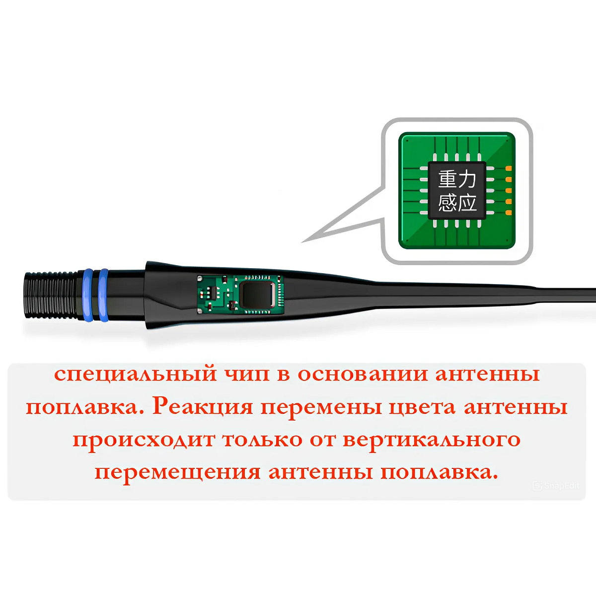 snapedit_1744076125169