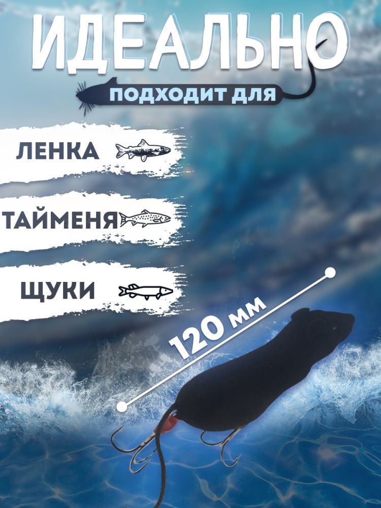 144446_1