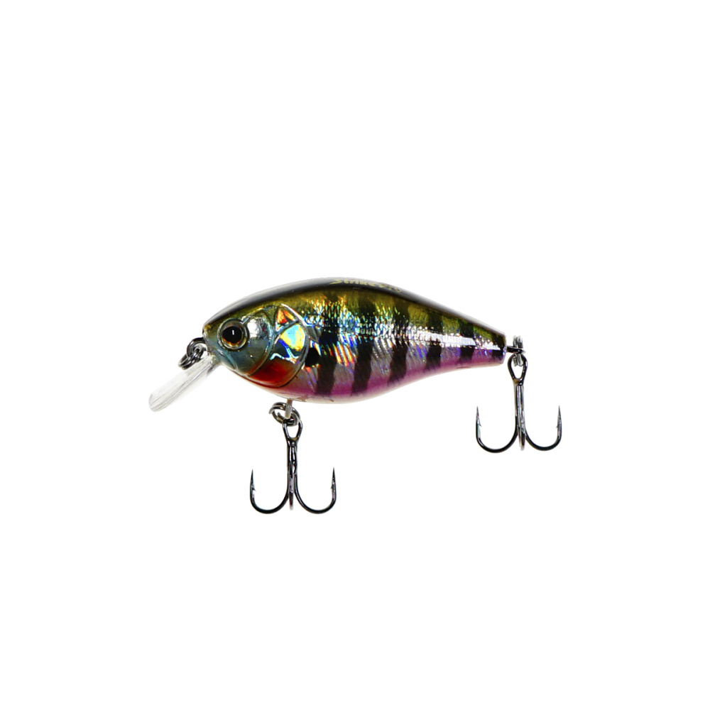 C  Users maria2 Desktop Загрузить 5338765_1