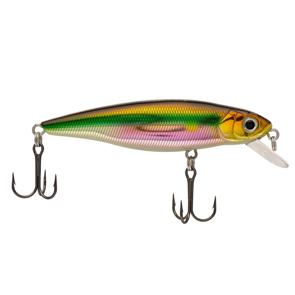 955784_main_1 955784_main_1