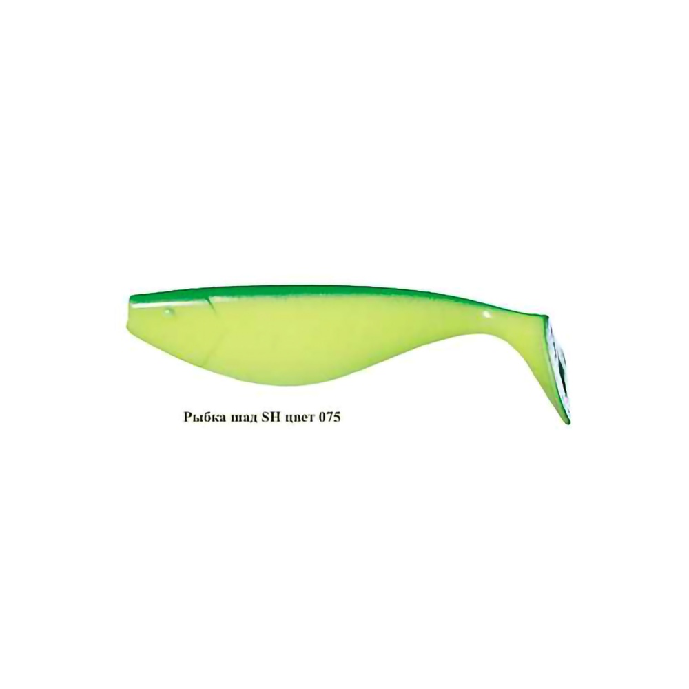 167704_1