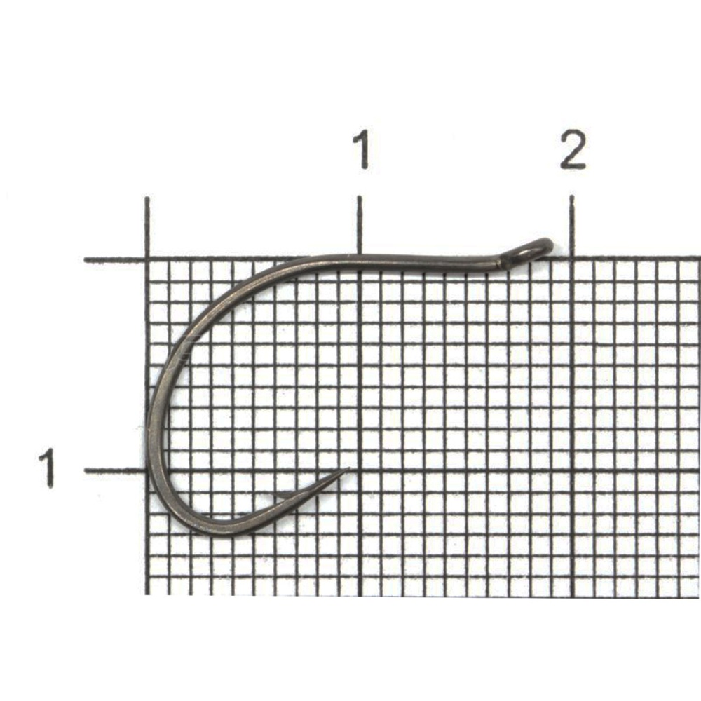 101481