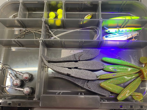 ловля судака