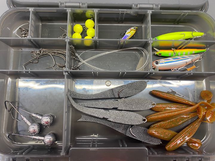 Погоня за ночным судаком